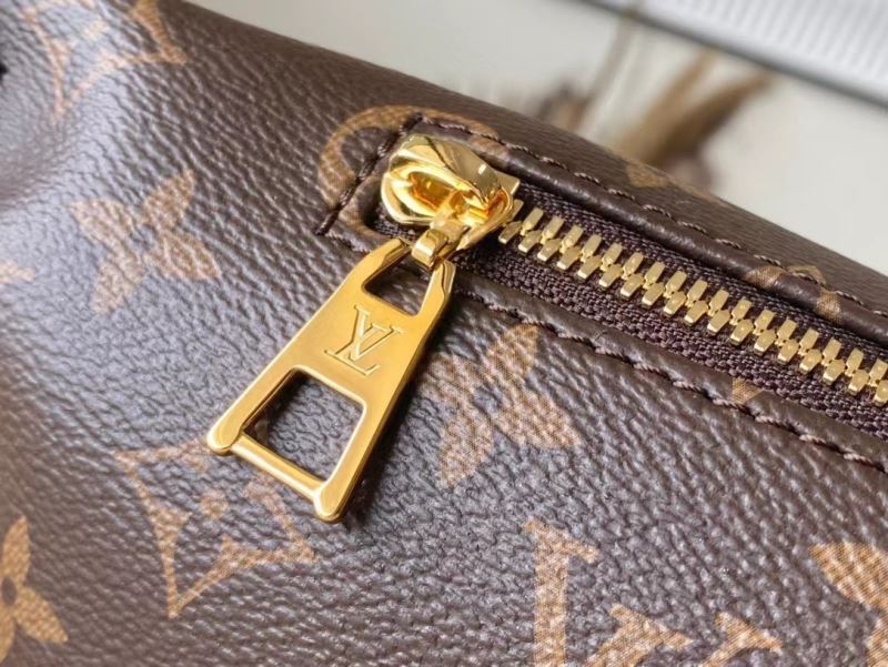 Louis Vuitton Waist Chest Packs